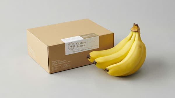 皮ごと食べられる無農薬バナナ「やっちろバナナ」新発売　熊本青果物出荷組合