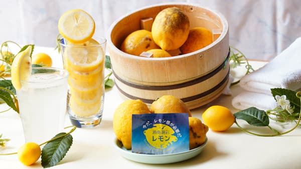 ＪＡかながわ西湘が協力「湘南潮彩レモンの湯」5月1日から開催　箱根小涌園
