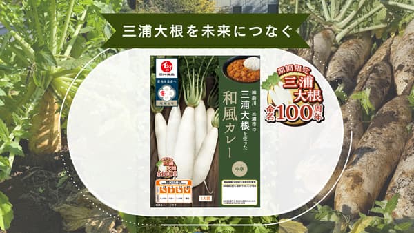 三浦市・ＪＡ三浦市と開発「三浦大根を使った和風カレー」発売　石井食品