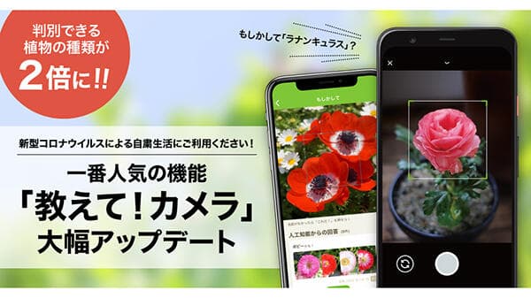 写真を撮るだけで植物や花の名前がわかるアプリが大幅アップデート　GreenSnap
