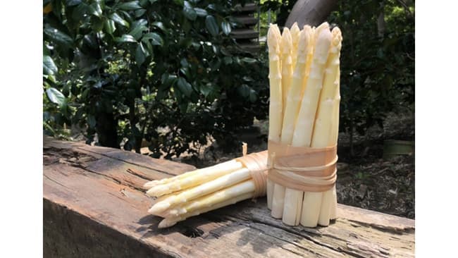 南会津町の「ホワイトアスパラガス」でコラボメニュー開発　八芳園
