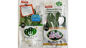 植物工場野菜「きらきらベジ」パッケージをリニューアル　日本山村硝子