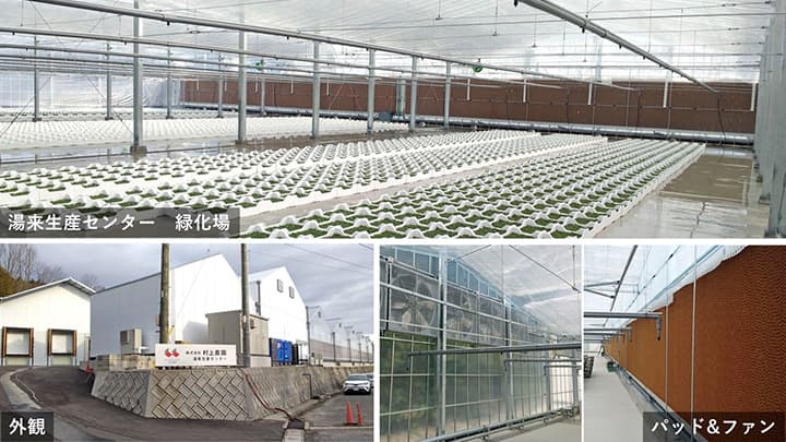 安全で高品質なスプラウト提供へ　湯来生産センター全面リニューアル　村上農園