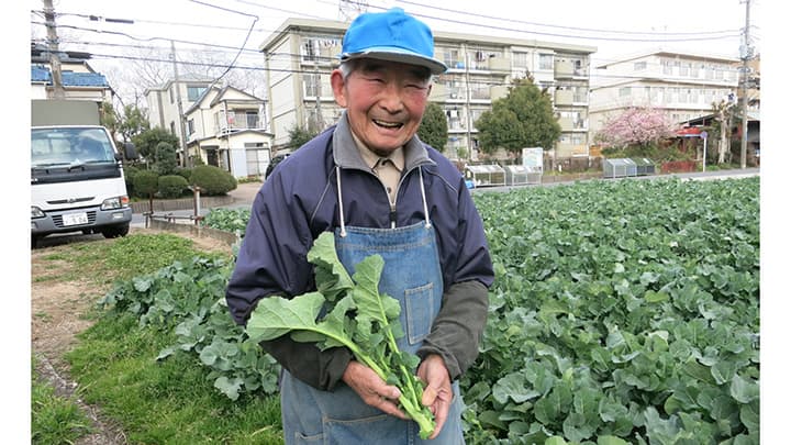 レジェンドが残した「のらぼう菜」川崎市多摩区の伝統野菜が大人気