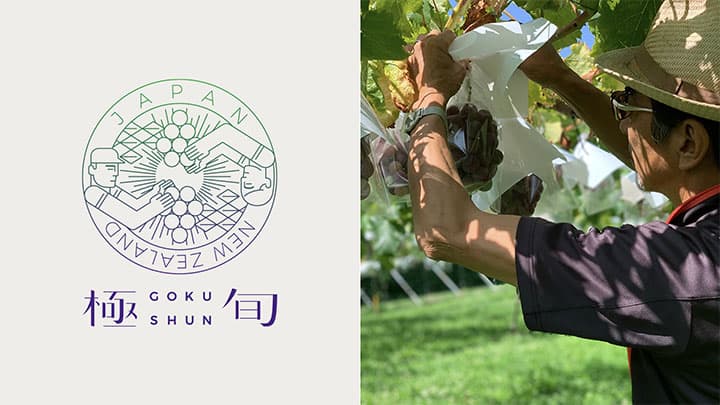 クラフトぶどう「極旬」新たなぶどうの旬つくる「裏旬」新発売　GREENCOLLAR