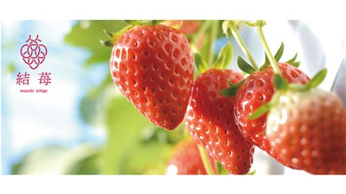 食育・地域づくりをコンセプトに静岡の地産地消いちご「結苺」誕生