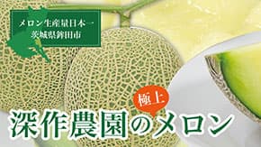 野菜栄養価コンテストのメロン部門で最優秀賞　深作農園のメロン発売