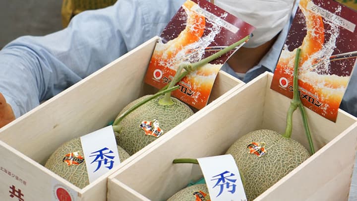 豊洲市場の初セリ「夕張メロン」25万円で落札　豊洲市場ドットコム