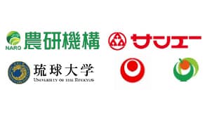 機能性表示食品「ギャバへちま」を開発　17日に発売　農研機構