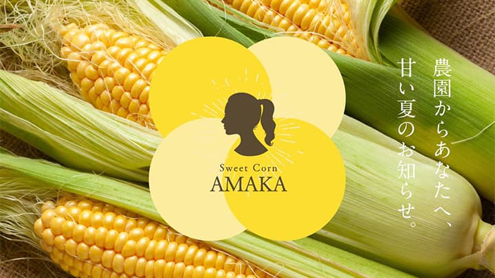 佐賀県江北町のブランドとうもろこし「あまか」収穫祭開催　花祭果実