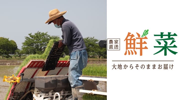 直送通販サイト「鮮菜」農家から採れたて野菜など直送　サウンドエフ