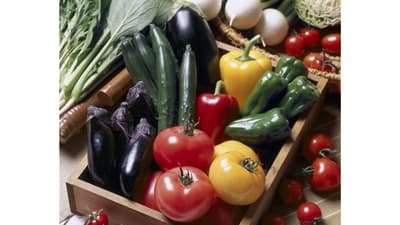 「農家・生産者のすごさ」９割が実感　野菜と家庭菜園に関する調査　タキイ種苗