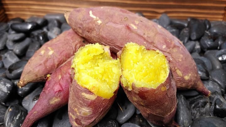 8月の収穫直後から甘いサツマイモ新品種「あまはづき」開発　農研機構