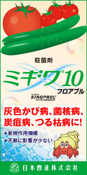 241029・日本曹達　ミギワ１０右上長方形PC