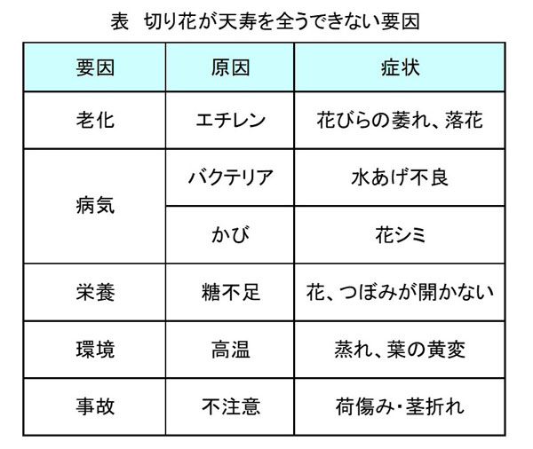 切り花の寿命をのばす.jpg