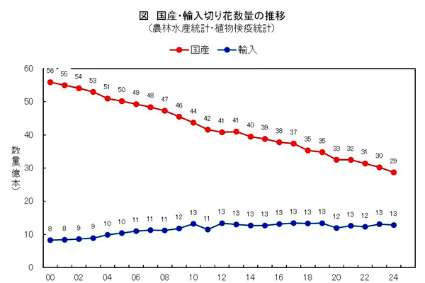 2025年も切り花の品薄単価高が続く【花づくりの現場から　宇田明】第52回