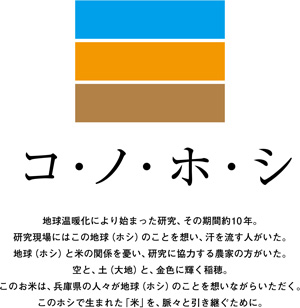 温暖化に負けない兵庫県新しいお米「コ・ノ・ホ・シ」2025年秋に誕生