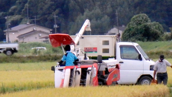 集荷・在庫・販売価格　見出し画像.jpg