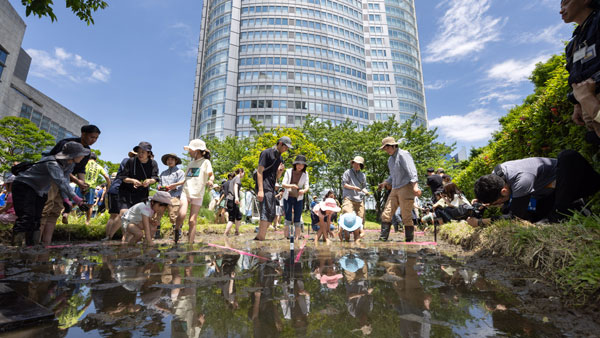 鳥取県「星空舞」田植えイベント　六本木ヒルズで開催