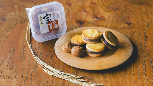 宝梅とあんこをサンド　米粉のグルテンフリークッキー新発売　築野食品工業