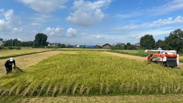 合同会社ナイスライスファームの田圃