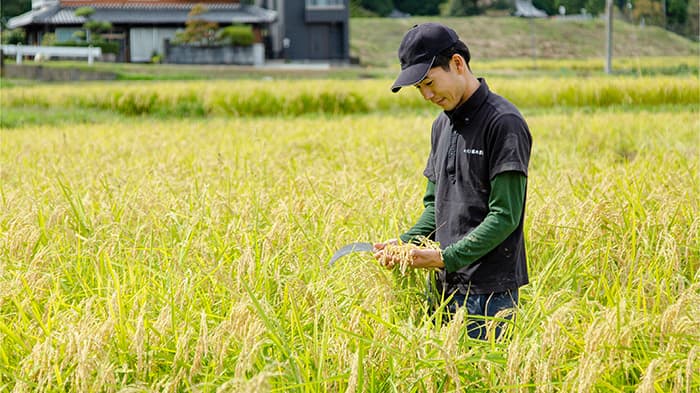 有機農業生産者と取り組み　転換期間中ミズホチカラ「有機米粉」発売　ハニーマザー