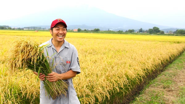 弘前市の赤石農園で低農薬栽培によりあおもり米「青天の霹靂」を栽培