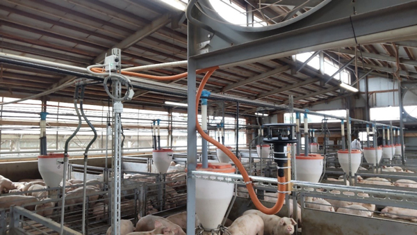 都市型畜産の豚舎における臭気対策　横浜市で検証開始　NTT東日本