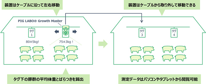 豚のAI体重推定装置「PIG-LABO-Growth-Master」テスト販売開始　日本ハム_02.jpg