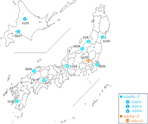 2024年シーズンの流行初期（10－11 月）に国内の家きんから分離されたHPAIウイルスの遺伝子型分類と発生分布