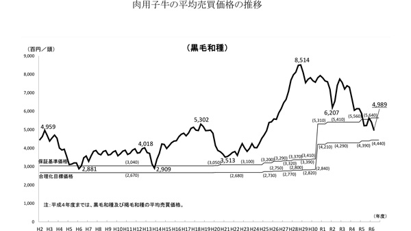 【野沢校正済】〈画像　黒毛和種の子牛〉（野沢）黒毛和種　子牛価格50万円切る　農水省-2.jpg