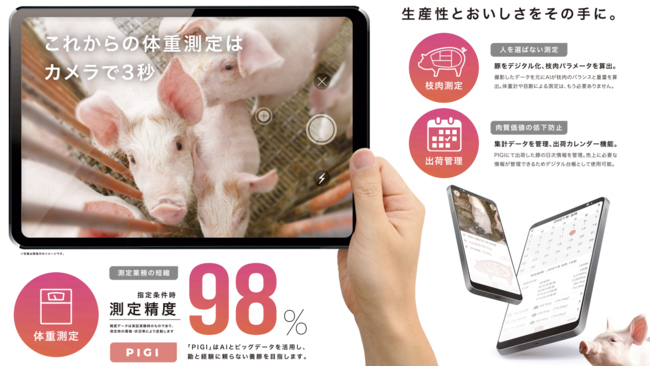 スマホで豚の体重が測れる「PIGI」無料版を3月初旬にリリース　コーンテック