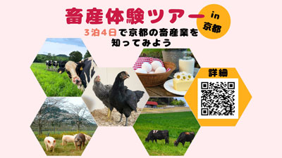 京都で畜産　3泊4日の体験ツアーを初開催　参加者募集　京都府s.jpg