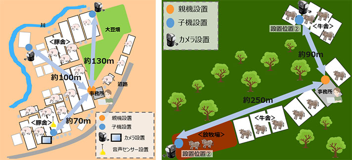 「スマート畜産」普及に向けた無線通信環境の構築実証実験の開始　NTT東日本_02