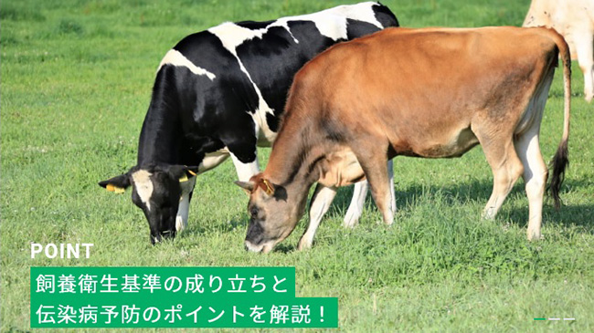 畜産農場従事者向けWebメディア「畜産ナビ」開始共立製薬