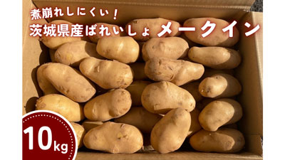 煮崩れしにくい！茨城県産ばれいしょ「メークイン」約10kg