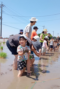 無農薬「実験田」での田植え