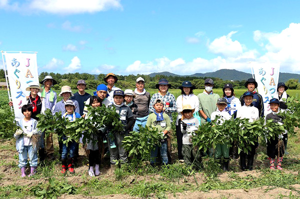 親子でだだちゃ豆を収穫　第2回あぐりスクール　ＪＡ鶴岡