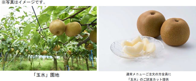 福岡県オリジナル梨の新品種「玉水」フェア　みのりカフェで29日から開催　ＪＡ全農