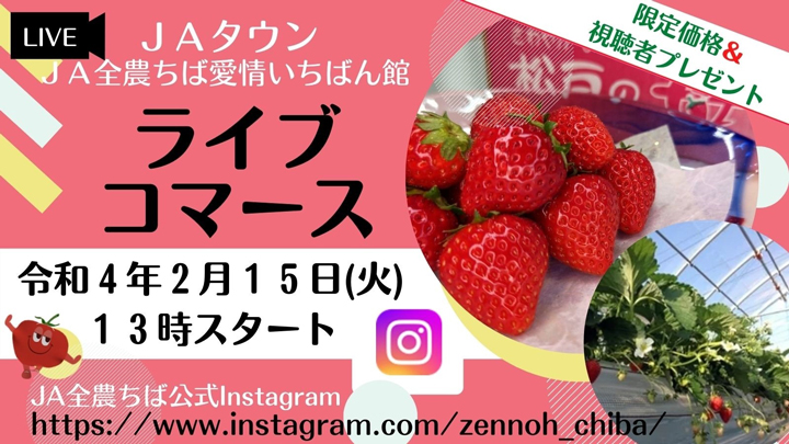 千葉・松戸の完熟いちごの魅力をライブで発信　特別価格で販売　ＪＡタウン