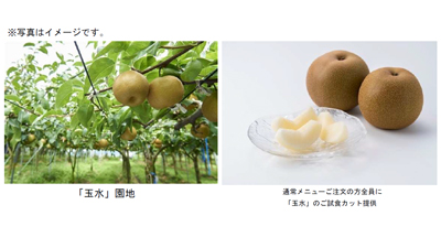 福岡県オリジナル梨の新品種「玉水」フェア　みのりカフェで29日から開催　ＪＡ全農