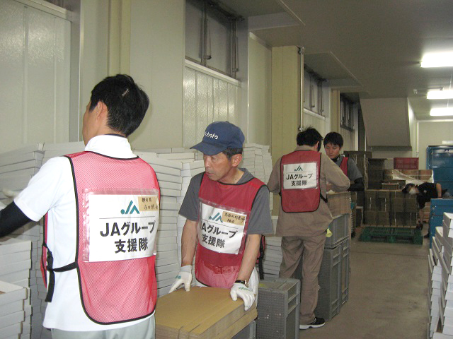 熊本地震ＪＡグループ鳥取支援隊へ団長として参加　選果場にてメロンの出荷支援