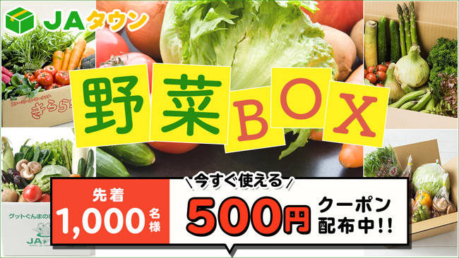 先着1000人に500円クーポンをプレゼント「野菜ボックスキャンペーン」開始　ＪＡタウン
