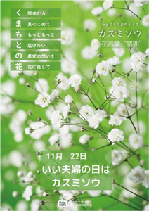 11月22日はカスミソウを贈ろう「熊本県産カスミソウフェア」開催　ＪＡ全農.jpg