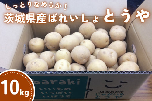 しっとりなめらか！茨城県産ばれいしょ「とうや」約10kg