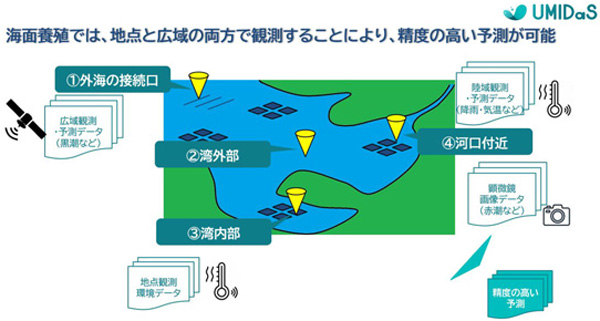 湾といっても、少しの場所の違いが養殖条件を大きく変える。 ストラウトは、少ないセンサーで現実的なシステム運用をサポートする