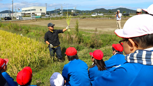 稲刈りの説明をする木村さん