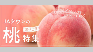 桃がおいしい季節到来「食べごろ桃特集」オープン　ＪＡタウン