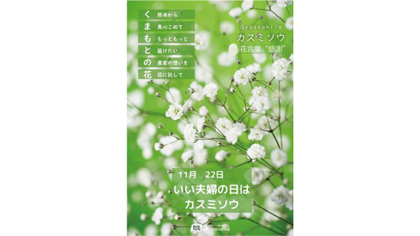 11月22日はカスミソウを贈ろう「熊本県産カスミソウフェア」開催　ＪＡ全農_2.jpg