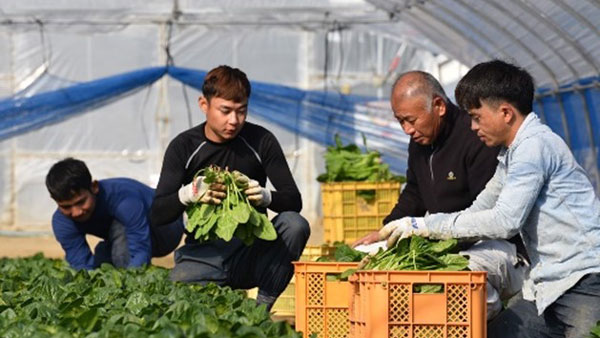 北海道の農業人材不足解決へ外国人材提供　ＪＡ北農5連と業務提携　パーソル